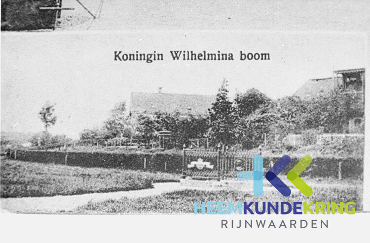 Wilhelmina boom Kade Tolkamer 